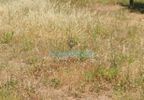 Land plot 699sqm for sale-Vrilissia
