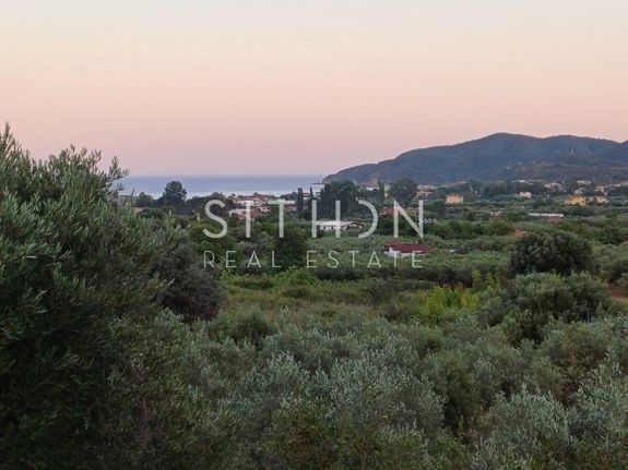 Αγροτεμάχια 3.560 τ.μ. για πώληση, Χαλκιδική, Τορώνη