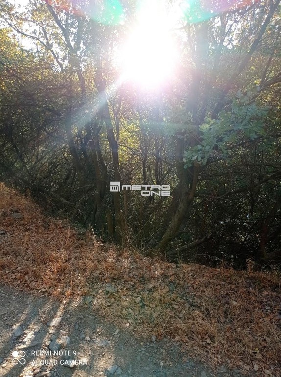 Οικόπεδο 7.300 τ.μ. προς πώληση, Χώρα Άνδρου