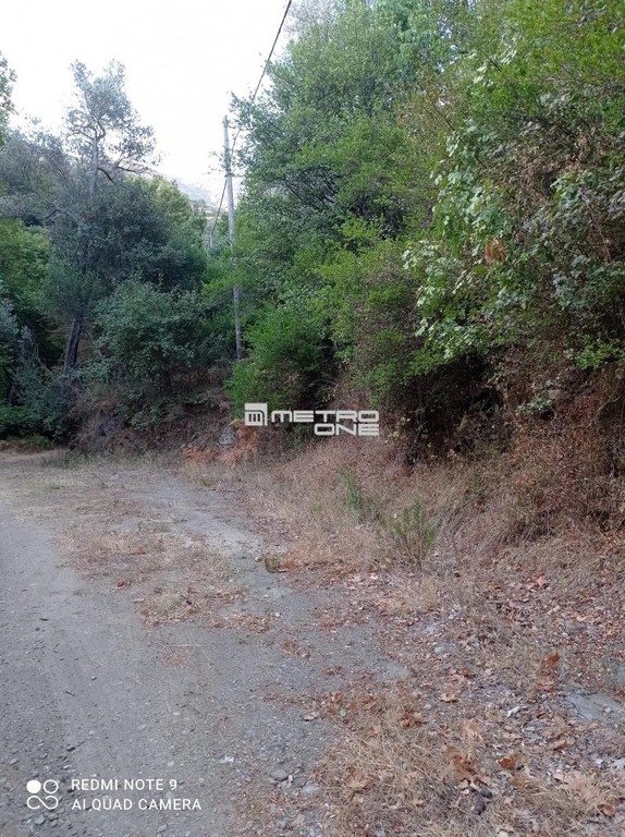 Οικόπεδο 7.300 τ.μ. προς πώληση, Χώρα Άνδρου