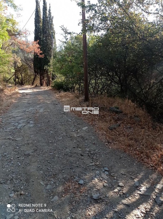 Οικόπεδο 7.300 τ.μ. προς πώληση, Χώρα Άνδρου