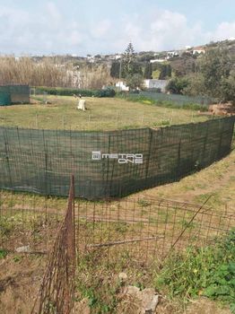 Οικόπεδο 1.500τ.μ. για πώληση-Άνδρος » Υδρούσα