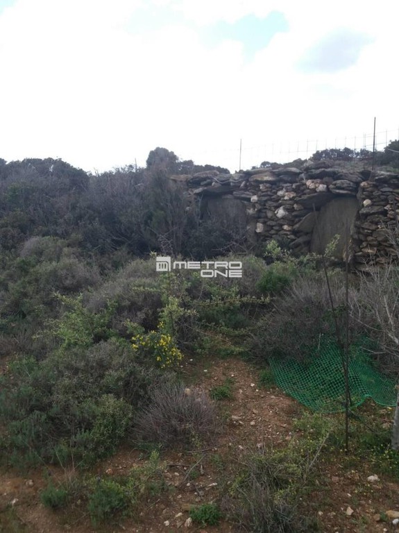 Αγροτεμάχια 5.900 τ.μ. προς πώληση, Χώρα Άνδρου