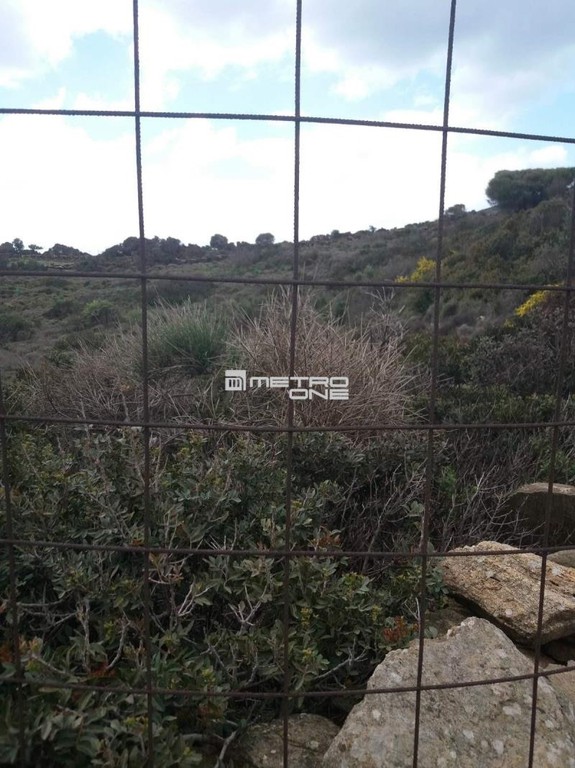 Αγροτεμάχια 5.900 τ.μ. προς πώληση, Χώρα Άνδρου