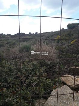 Αγροτεμάχια 5.900τ.μ. για πώληση-Άνδρος » Χώρα