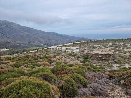 Αγροτεμάχια 10.000τ.μ. για πώληση-Άνδρος » Χώρα