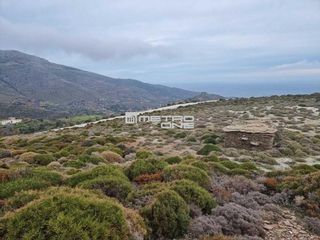 Αγροτεμάχια 10.000 τ.μ. για πώληση