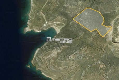 Αγροτεμάχια 50.000τ.μ. για πώληση-Άνδρος » Χώρα