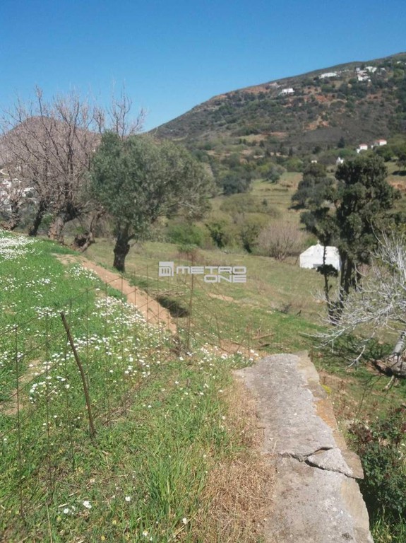 Μονοκατοικία 188 τ.μ. προς πώληση, Χώρα Άνδρου