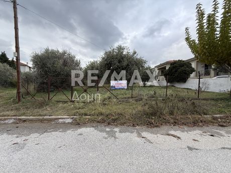 Land plot 604 sqm for sale
