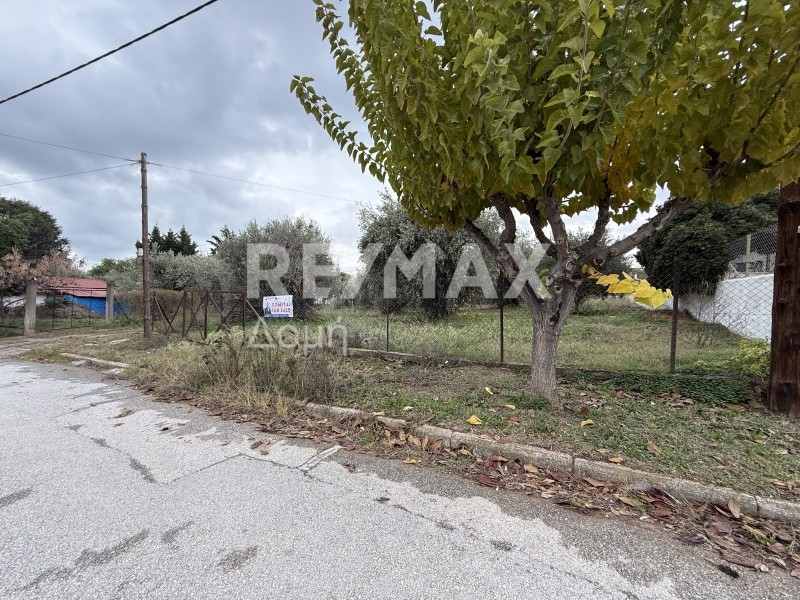 Land plot 604 sqm for sale, Magnesia, Agria