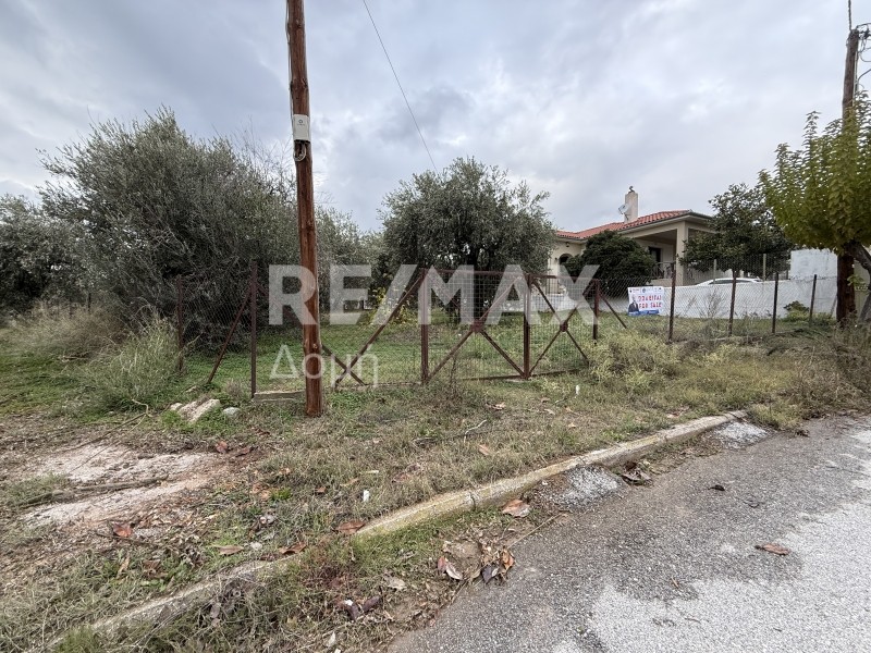 Land plot 604 sqm for sale, Magnesia, Agria