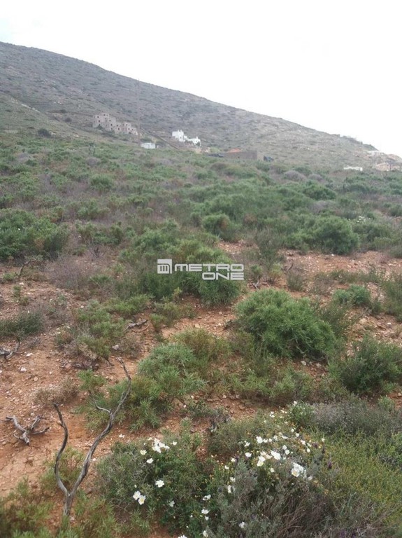 Αγροτεμάχια 5.965 τ.μ. προς πώληση, Χώρα Άνδρου