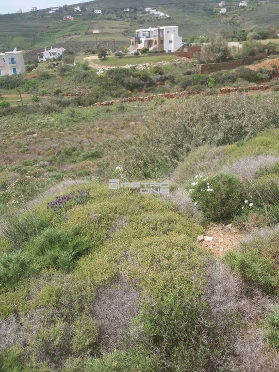 Αγροτεμάχια 5.965 τ.μ. προς πώληση, Χώρα Άνδρου