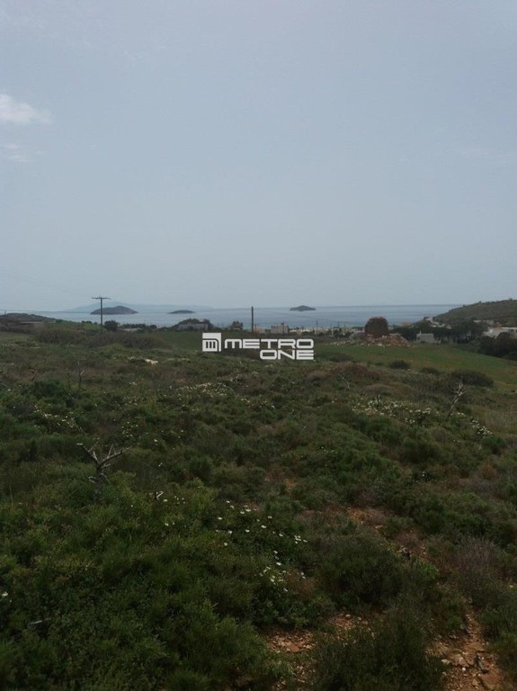 Αγροτεμάχια 5.965 τ.μ. προς πώληση, Χώρα Άνδρου