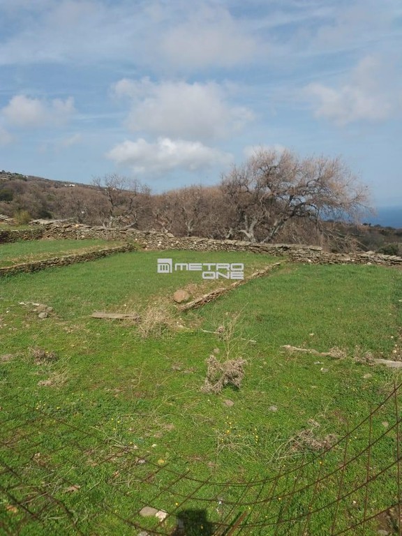 Οικόπεδο 8.130 τ.μ. προς πώληση, Χώρα Άνδρου