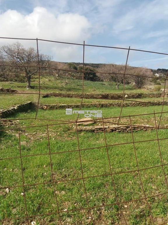 Οικόπεδο 8.130 τ.μ. προς πώληση, Χώρα Άνδρου