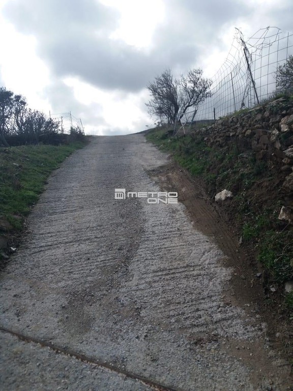 Οικόπεδο 8.130 τ.μ. προς πώληση, Χώρα Άνδρου