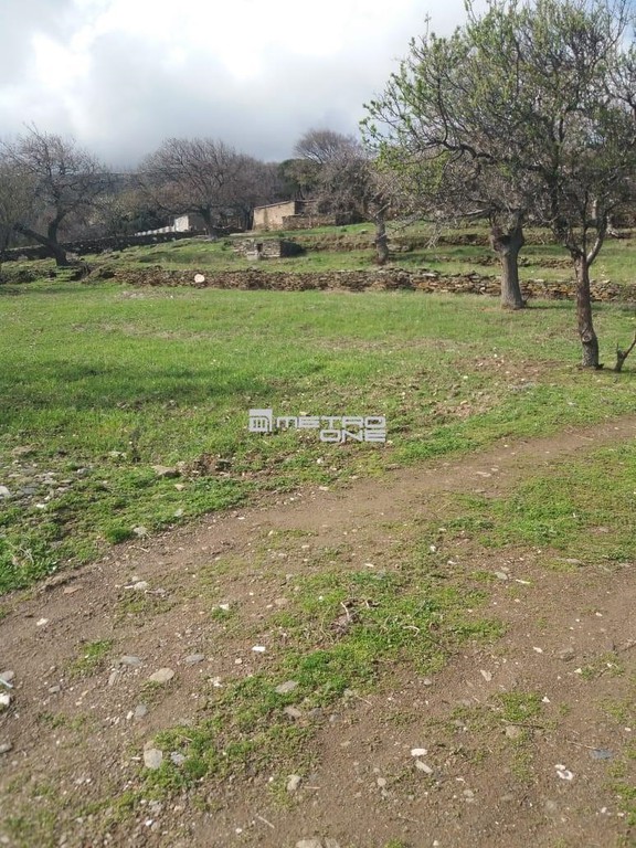 Οικόπεδο 8.130 τ.μ. προς πώληση, Χώρα Άνδρου