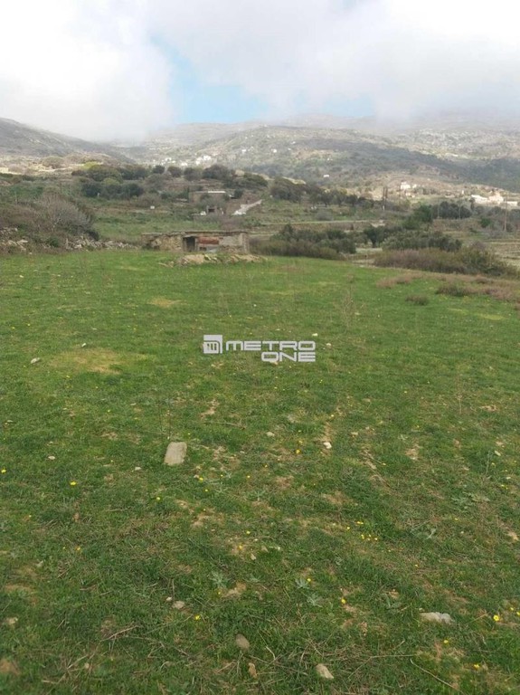 Αγροτεμάχια 4.000 τ.μ. προς πώληση, Χώρα Άνδρου