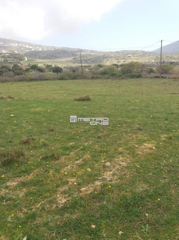 Αγροτεμάχια 4.000 τ.μ. προς πώληση, Χώρα Άνδρου