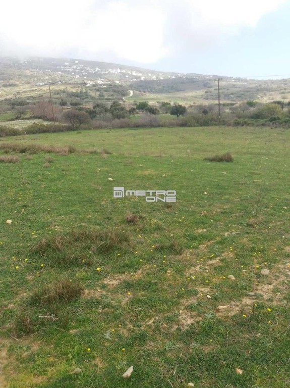 Αγροτεμάχια 4.000 τ.μ. προς πώληση, Χώρα Άνδρου