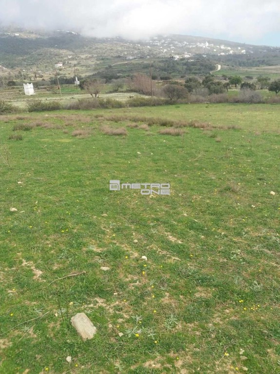 Αγροτεμάχια 4.000 τ.μ. προς πώληση, Χώρα Άνδρου