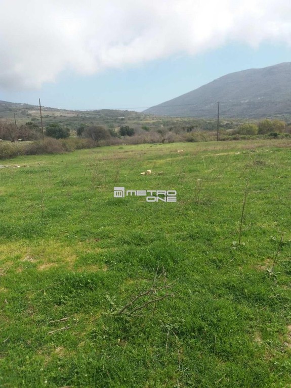Αγροτεμάχια 4.000 τ.μ. προς πώληση, Χώρα Άνδρου