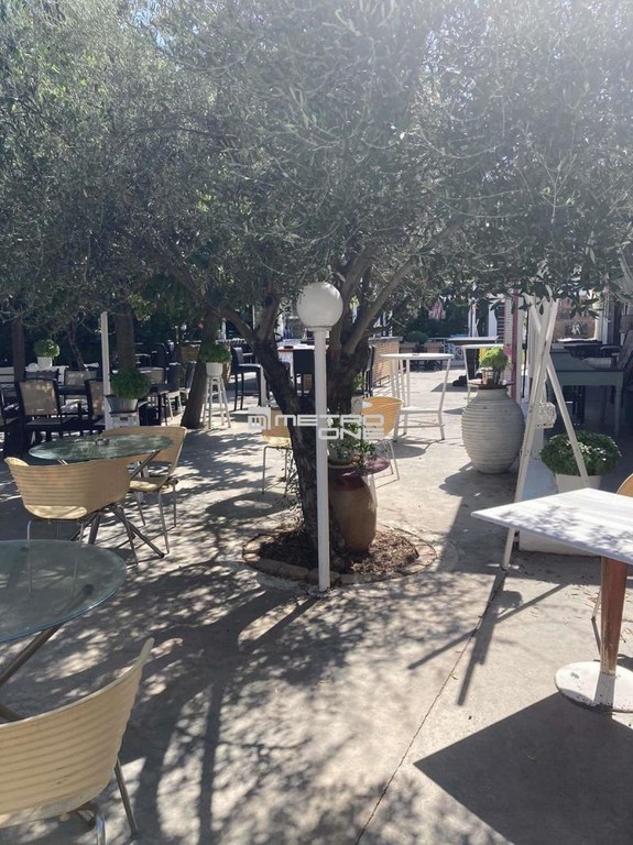Οικόπεδο 1.350 τ.μ. προς πώληση, Σκορδιάνικα
