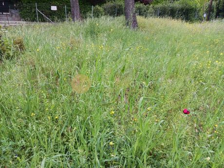 Land plot 1.100sqm for sale-Ekali