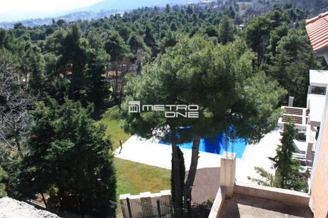 Detached home 700sqm for sale-Afidnes » Drosopigi