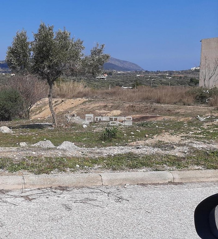 Αγροτεμάχια 4.374 τ.μ. προς πώληση, Κακιά Θάλασσα