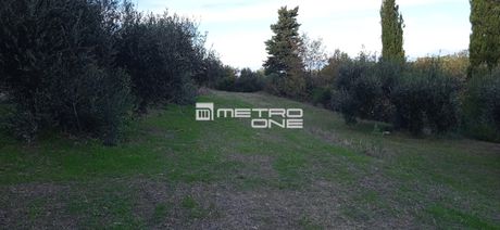 Land plot 3.552,45sqm for sale-Corfu » Thinalio