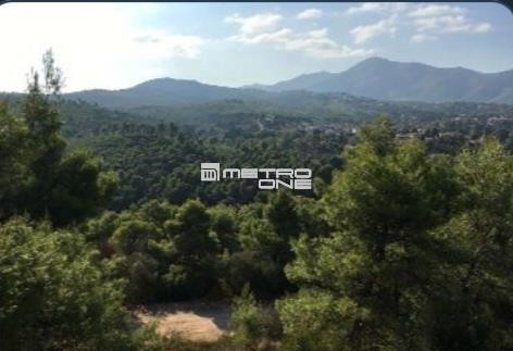 Οικόπεδο 1.648 τ.μ. προς πώληση, Κέντρο Σταμάτας