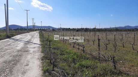 Parcel 15.000sqm for rent-Koropi » Center