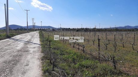 Αγροτεμάχια 15.000 τ.μ. για πώληση