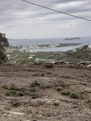 Αγροτεμάχια 16.000 τ.μ. για πώληση
