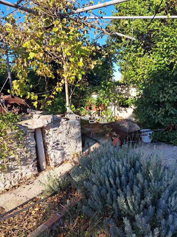 Αγροτεμάχια 6.163 τ.μ. προς πώληση, Χώρα Άνδρου