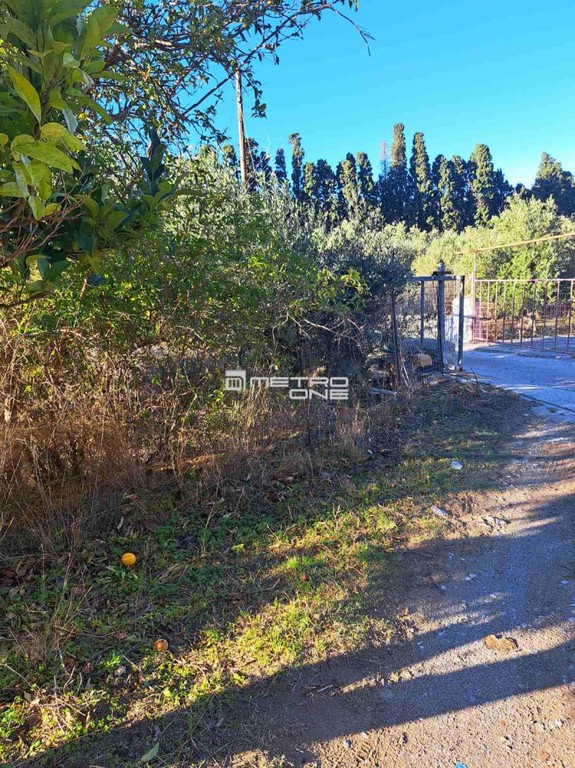 Αγροτεμάχια 6.163 τ.μ. προς πώληση, Χώρα Άνδρου