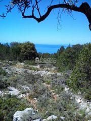 Αγροτεμάχια 7.940 τ.μ. για πώληση