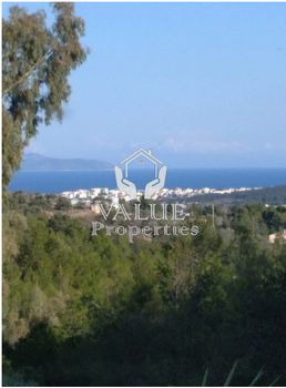 Οικόπεδο 550τ.μ. για πώληση-Ραφήνα