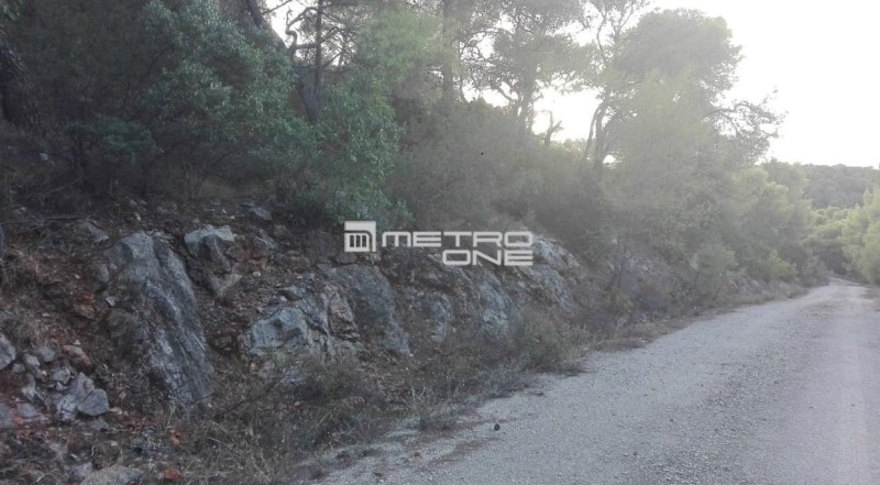 Οικόπεδο 1.025 τ.μ. πρός πώληση, Κορινθία, Σολύγεια