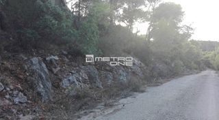 Οικόπεδο 1.025 τ.μ. για πώληση, Κορινθία, Σολύγεια-thumb-4