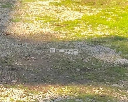 Land plot 296sqm for sale-Chalandri » Kato Halandri
