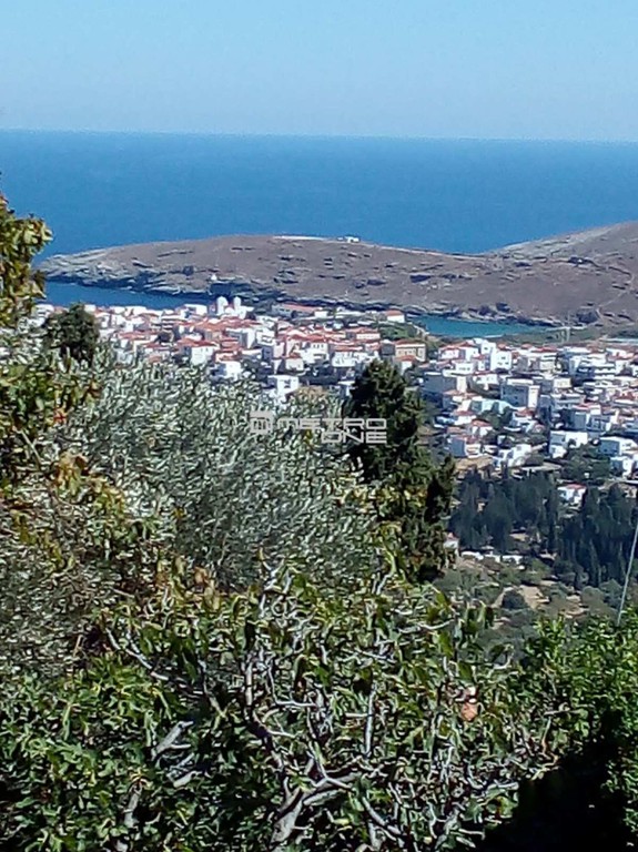 Οικόπεδο 1.665 τ.μ. προς πώληση, Χώρα Άνδρου