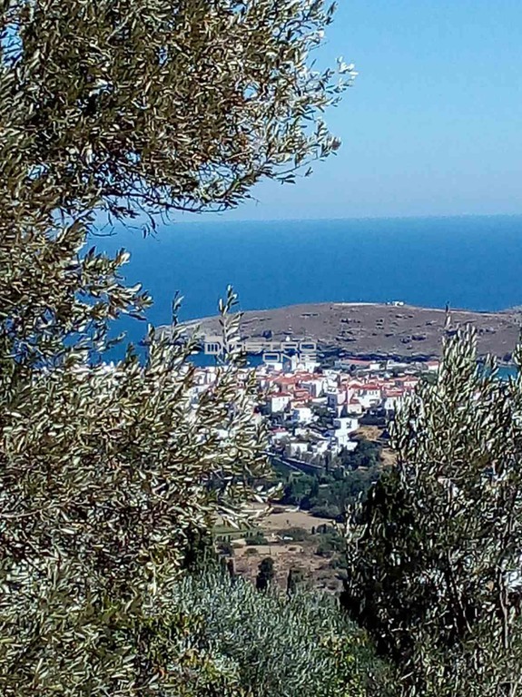 Οικόπεδο 1.665 τ.μ. προς πώληση, Χώρα Άνδρου