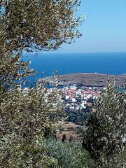 Οικόπεδο 1.665 τ.μ. για πώληση