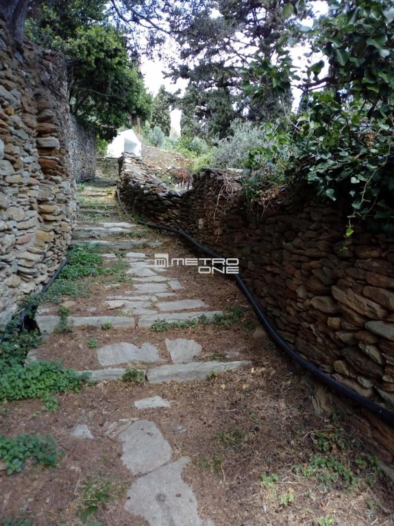 Οικόπεδο 1.665 τ.μ. προς πώληση, Χώρα Άνδρου