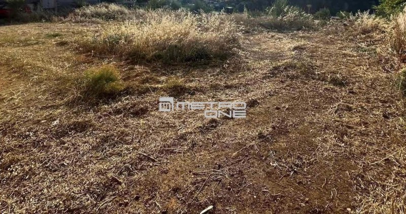 Οικόπεδο 350 τ.μ. προς πώληση, Αδάμες (Οικισμός Γράμμος - Φοίνικας)