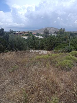 Land plot 1.100sqm for sale-Anavissos » Agios Nikolaos